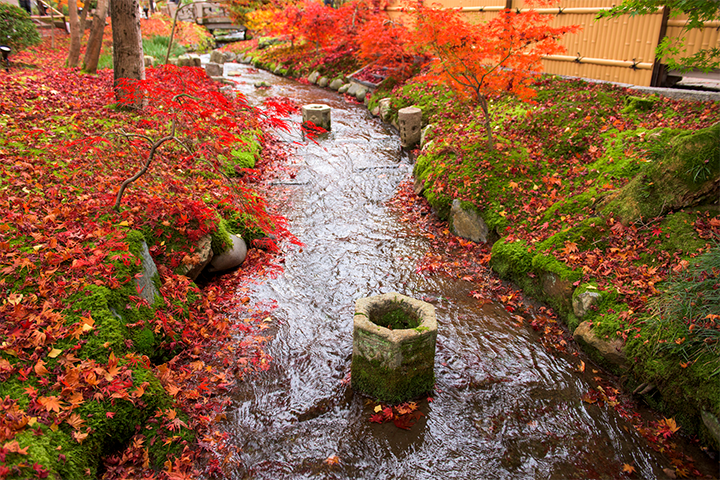Autumn Item 1