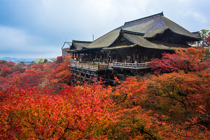 Autumn Item 3
